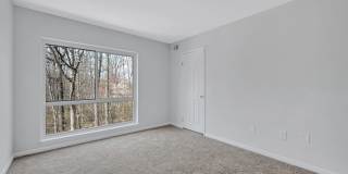 Reston Glade Gallery 12
