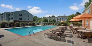 Mallside Forest Gallery 11