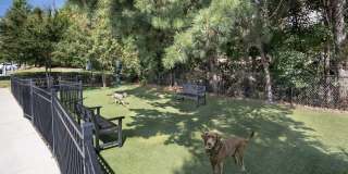 The Reserve Decatur Gallery 44