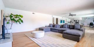 Rise at the Palms Gallery 65