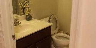 42387 TRELLIS Square Gallery 17