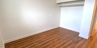 Recently Renovated 1 Bedroom in Honolulu Gallery 10
