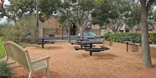 Acacia Cliffs Gallery 12
