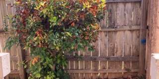 Cute 1 bed/1 bath Gallery 9