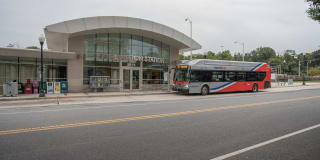 IO Piazza by Windsor Gallery 47