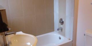 Charming 1 Bed 1 Bath Home in Ballard Gallery 9