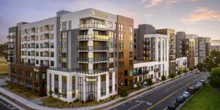 The Lafayette Gallery 52