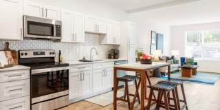 Terrain on the Parkway Gallery 17