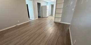 Welcome to St. Petersburg!!! Gallery 7