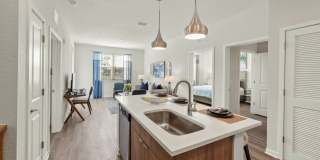 Mosaic at Lake Toho Gallery 26