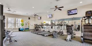 Canopy at Belfort Park Apartment Homes Gallery 11