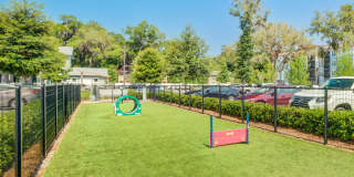 Century Town Center Gallery 17