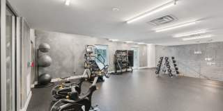 South Falls Tower Gallery 10