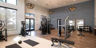 The Alary Gallery 26