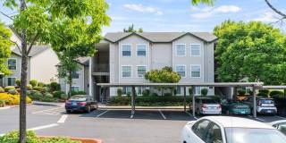 Avalon Park Gallery 7