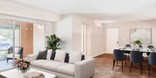 Coconut Palm Club Gallery 55