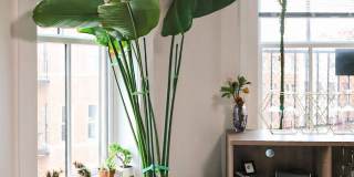 1734 BOLTON Street unit: 3R Gallery 6