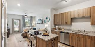 Riverchase Vista Gallery 15