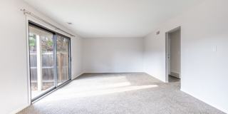 Corinth Paddock Gallery 13