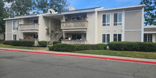 Mountain Springs Gallery 1