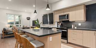 Silhouette Gallery 1