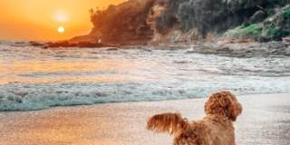 Beachwalk Lifestyle Starts Here! Gallery 1