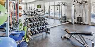 Museum Park Museum Park Gallery 8