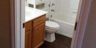 A Spacious Single Story, 3 Bedrooms, 2 Bathrooms Home for rent in East Round Rock, Easy Access to HWY 45 and 130! Gallery 10
