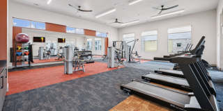 Legacy at Veramendi Gallery 9