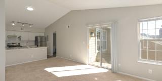 Arcadia Apartments Gallery 7