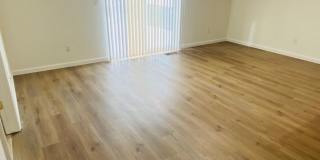Gorgeous Remodeled Spacious 4 bedroom Gallery 12