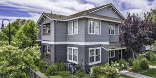 Seville at Mace Ranch Gallery 39