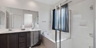 3124 Via Bella Rosa Avenue Gallery 15