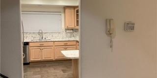 292 Alpine Street Gallery 3