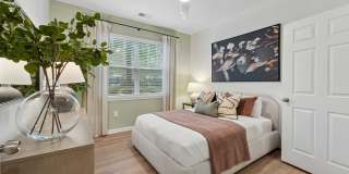 The Ashborough Gallery 15