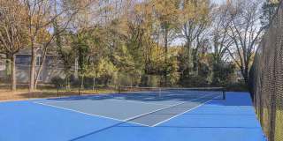 Cameron South Park Gallery 12