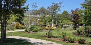 22247 WATERBERRY Terrace 22247 WATERBERRY Terrace Gallery 39