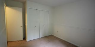 2959 CASHEL Lane Gallery 11