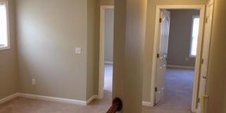 3204 Sweet Clover Lane Gallery 37