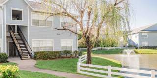 Willow Lake Gallery 36
