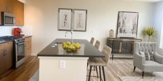 Axis Gallery 25