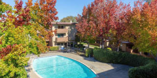 Modern 2-Bedroom Condo with Pool and Koi Pond Views Gallery 30