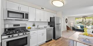 Melvin Park Gallery 15