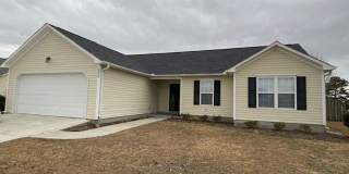 Welcome to this beautiful 4 bedroom, 2 bathroom home located in the desirable area of Wilmington, NC. Gallery 1