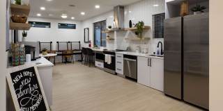 Whimsical Pig Gallery 4