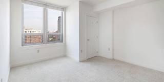 The Veridian Gallery 100