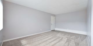 The Canopy Gallery 26