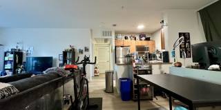 4 Repton Cir. Gallery 10