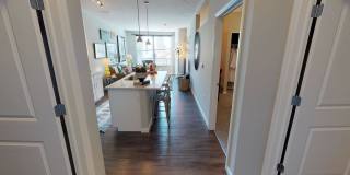 Student Housing - Luxe Belle Gallery 19