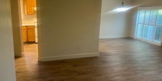 Coming Soon! Gallery 1